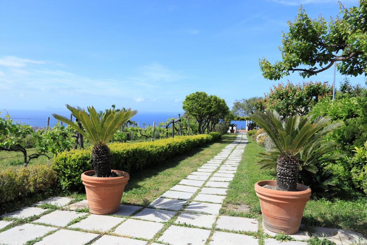 Tenuta Le Fornacelle ตอร์เรเดลเกรโค ภายนอก รูปภาพ