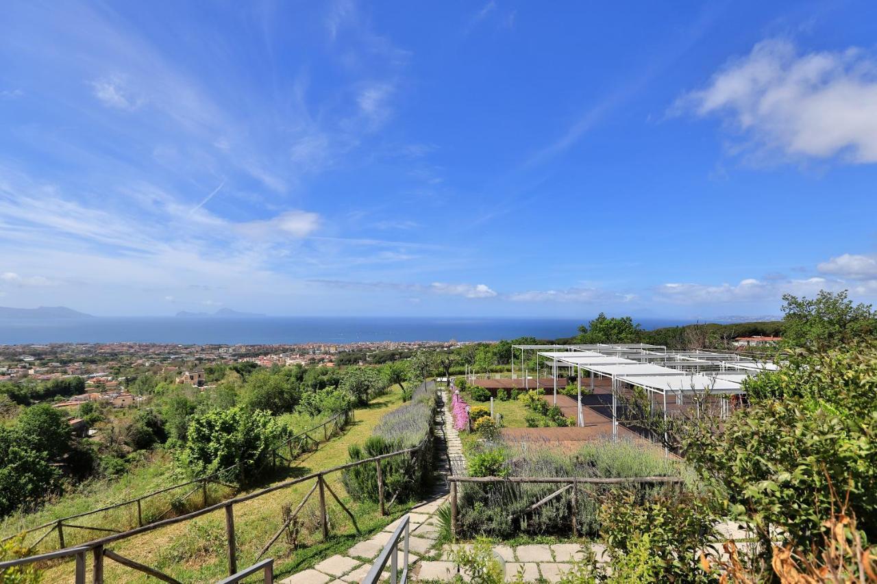 Tenuta Le Fornacelle ตอร์เรเดลเกรโค ภายนอก รูปภาพ